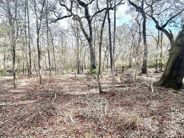 L-50 SE River Dr, Branford, FL 32008