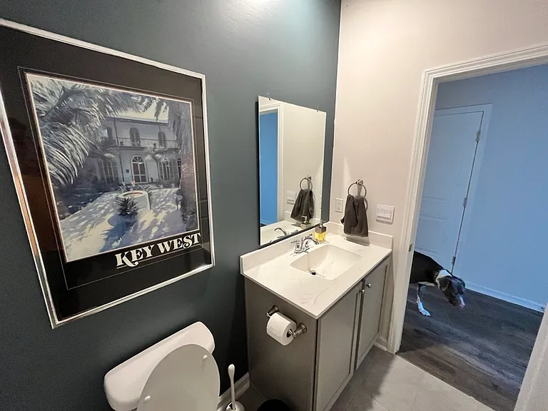 downstairs guest bathroom