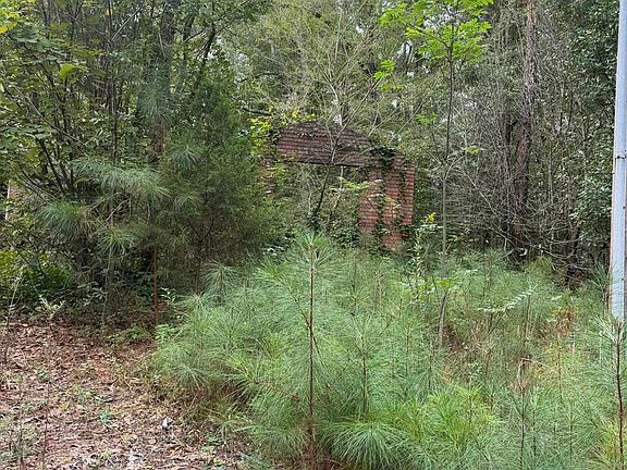 4th image of 0 Dearmanville Rd #0