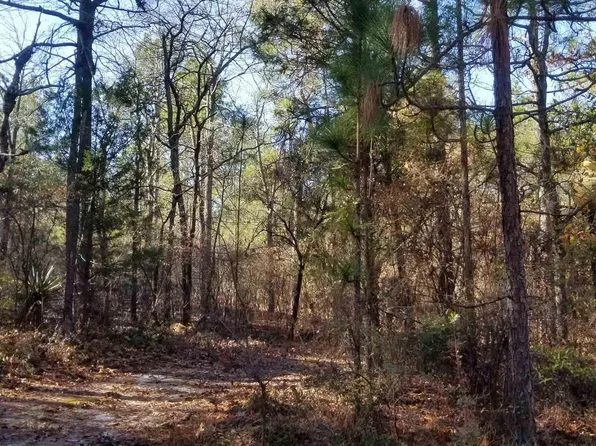 356B Kyzer Rd, Lexington, SC 29073
