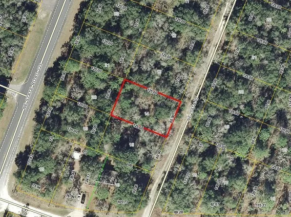 0 NE 154TH TERRACE LOT 14, WILLISTON, FL 32696