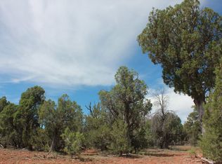 14 Aripine #A, Overgaard, AZ 85933