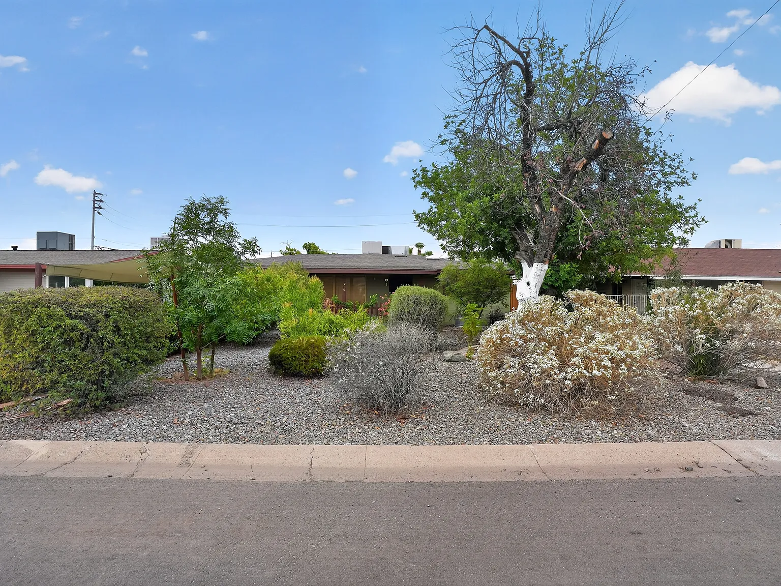 3 bed, 1379 sqft, $2,900 — Photo 2