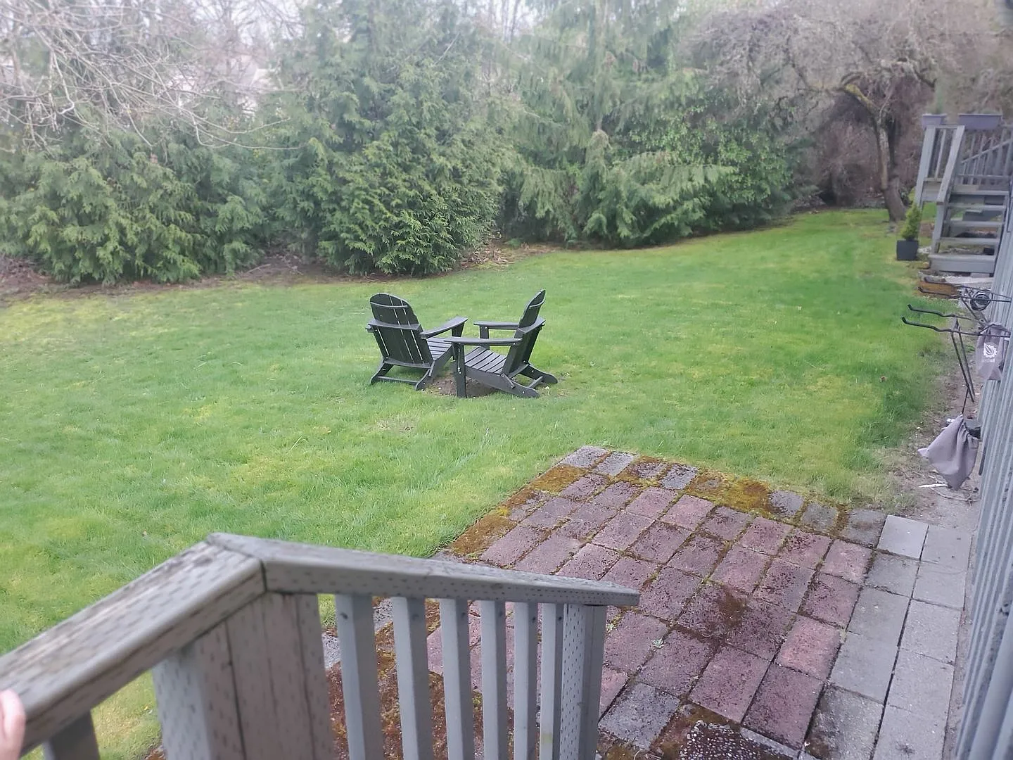Apartment Availabile, near Children's Hospital and University of Washington — Photo 3
