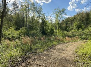 0 Mount View Rd TRACT 11, Robbins, TN 37852