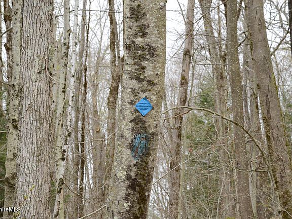 4th image of 0 E Otis Rd