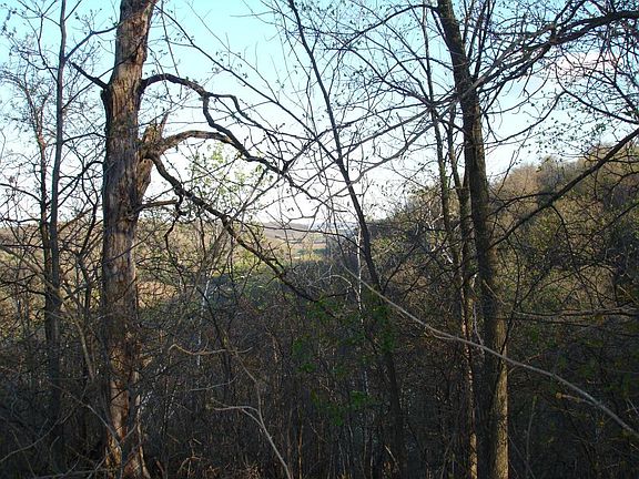 3rd image of O Xxx County Road O