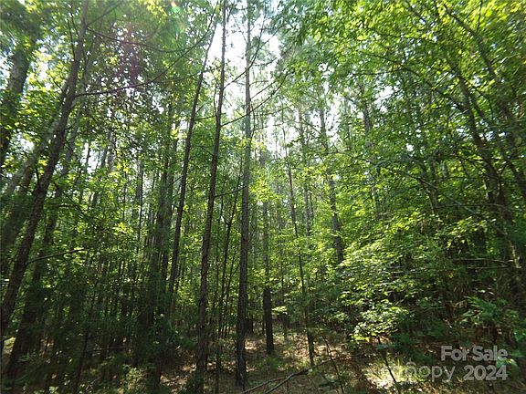 3rd image of 50 Ac Highway Hwy #215