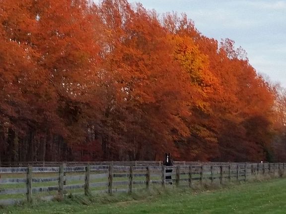 Beautiful Fall farm foliage 