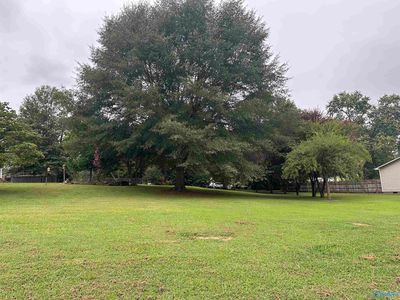 Petty Ln, Brownsboro, AL, 35741
