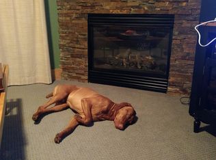 2636 Thornacres Dr, Niles, MI 49120