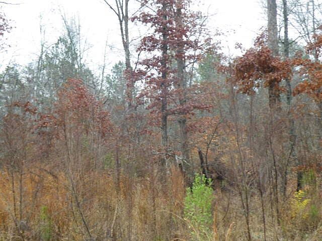 1st image of 2560 Pattington Way NE