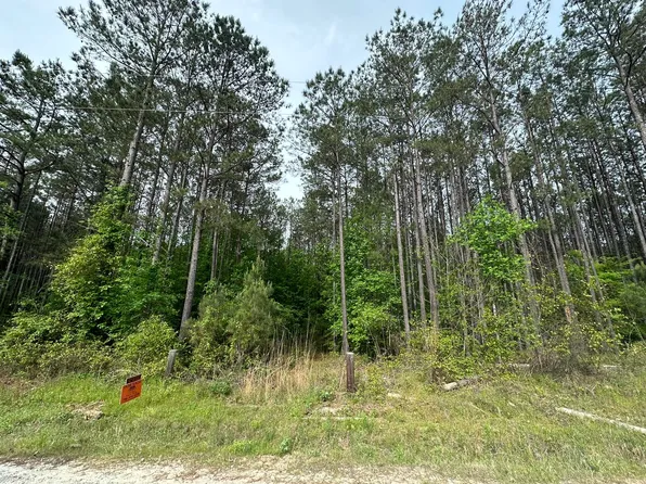 173 BOLTON Road, Tignall, GA 30668