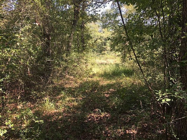 1st image of 737 County Road 4030