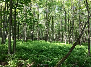 46 Deer Run Rd, Lakeville, PA 18438