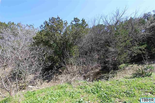 2nd image of Mackie Dr Lot 6