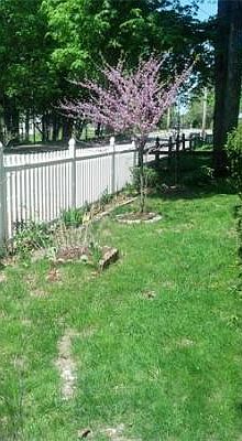 4th image of 996 Plymouth St