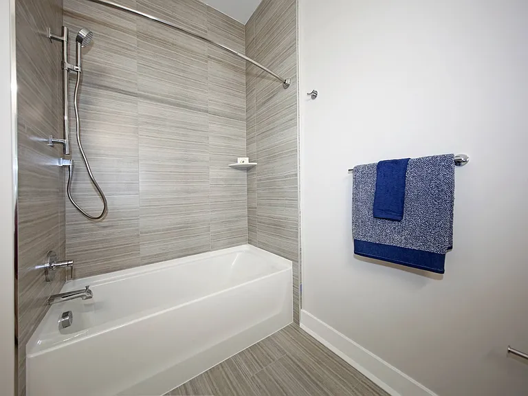 Tub with handheld shower head