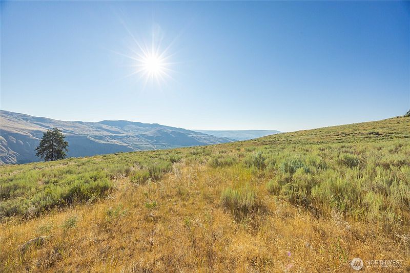 3rd image of 0 Goat Ridge Lot 6 - HWY 153 #6