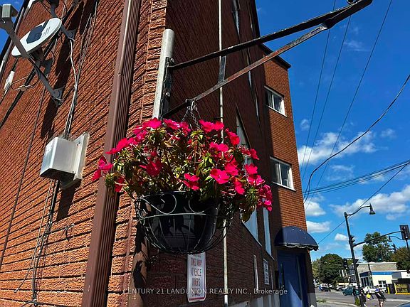 5th image of 442 Macdonnell St