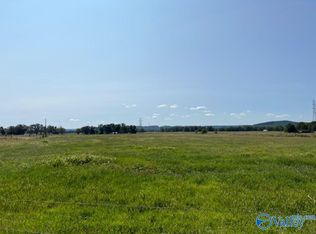 LOT 4A Highway 55, Falkville, AL 35622