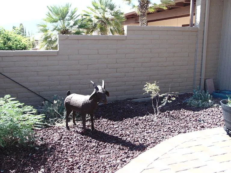 1098 W Camino Sagasta — Photo 36