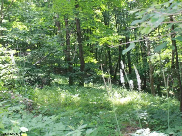 14 Meadows Rd E, Harman, WV 26270