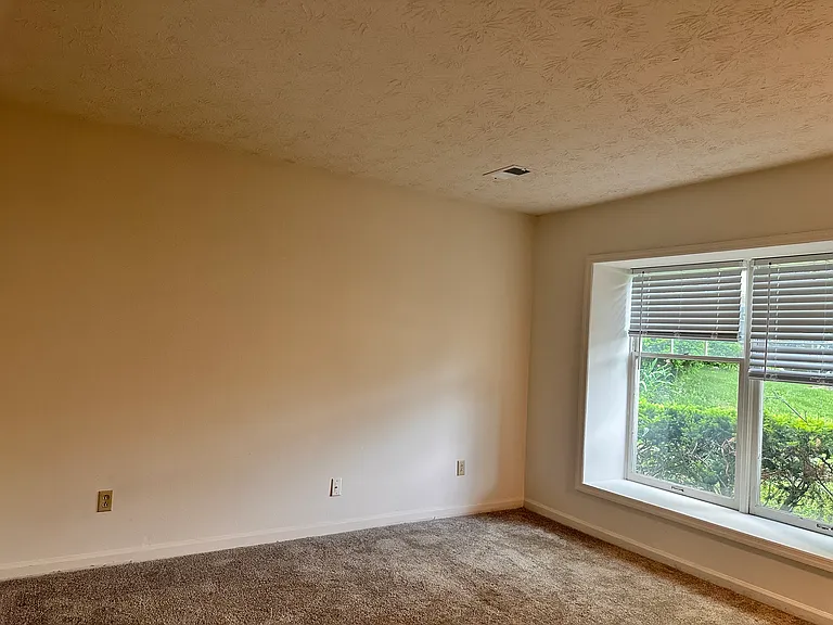 432 Lakebow Ct — Photo 19