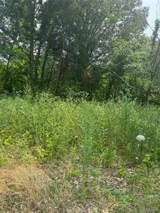 0 N Hickory St, Dexter, MO, 63841