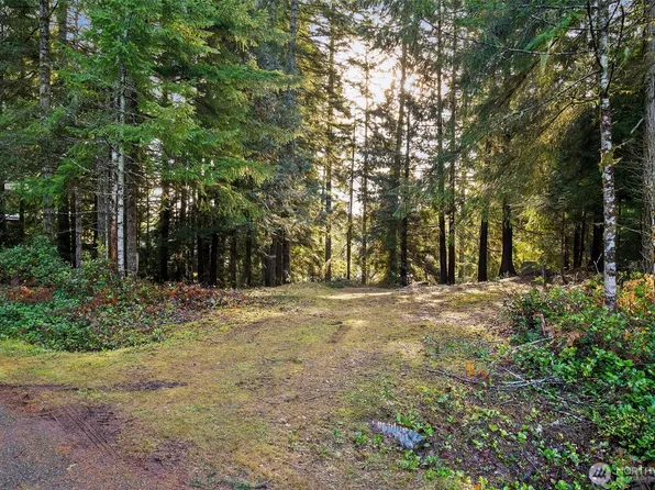 30 E Tahuya Drive, Shelton, WA 98584