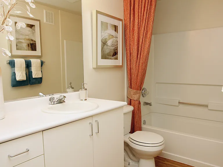 Double sink Double sink