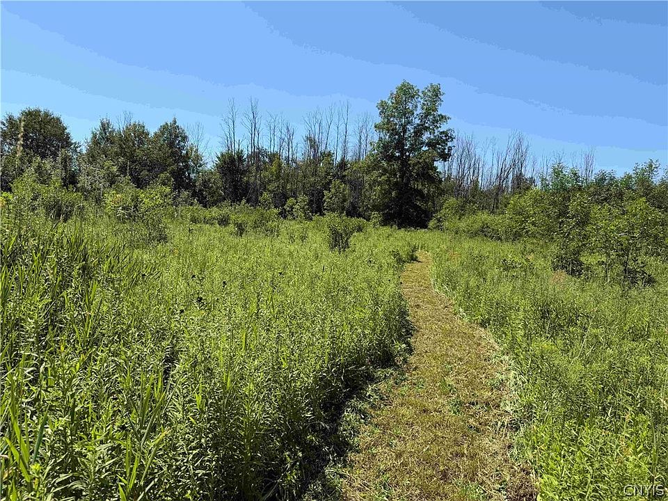1st image of Buttermilk Rd