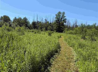 Buttermilk Rd, South Dayton, NY 14138