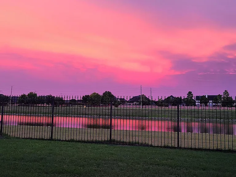 View from the backyard!