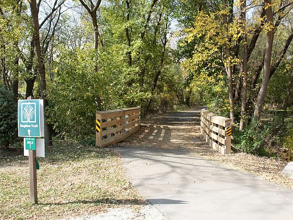 Adjacent to Bug Line Trail