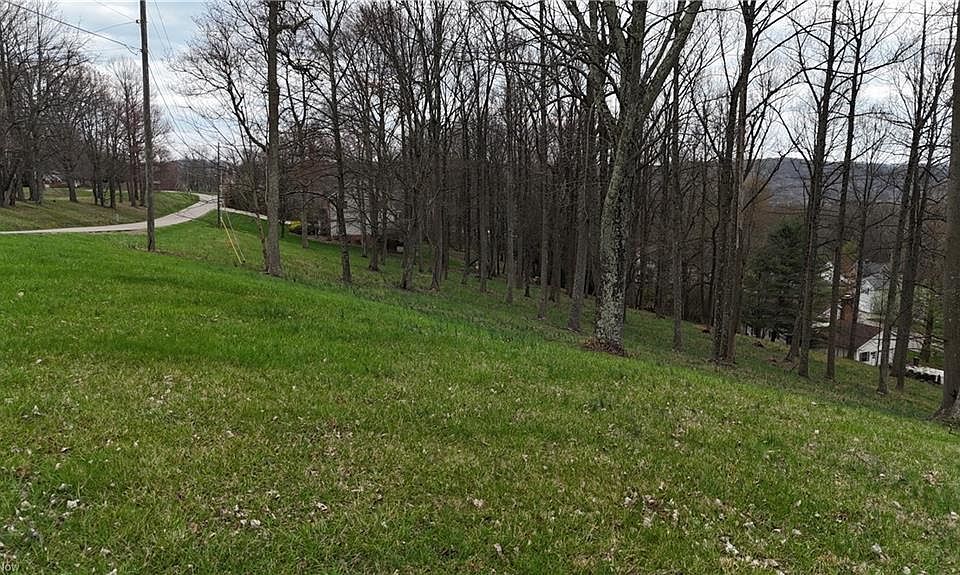 2nd image of 0 Nicholas Ln