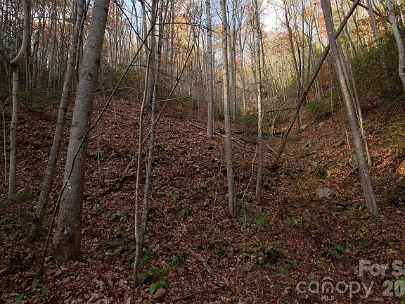 4th image of Rector Branch Rd #4