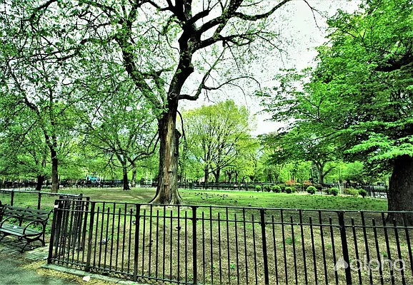 Rented by Alpha Properties NYC I LLC | media 8