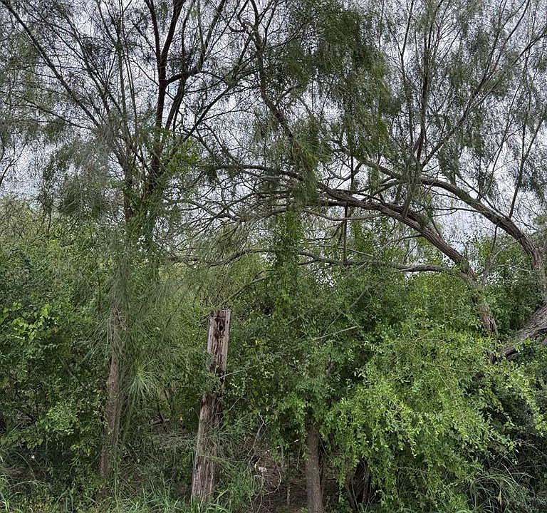 2nd image of Barlow Rd