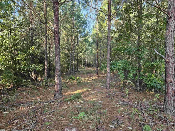365 Dunns Creek Rd, Donalds, SC 29638