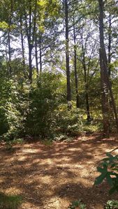Dahlia Rd, Gilmer, TX, 75644