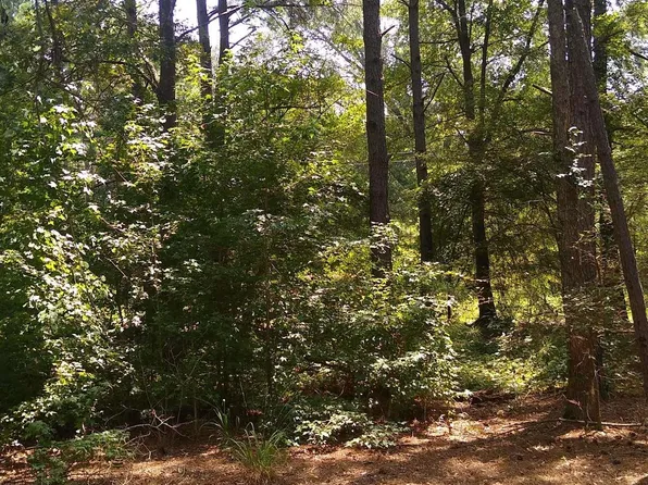 Dahlia Rd, Gilmer, TX 75644