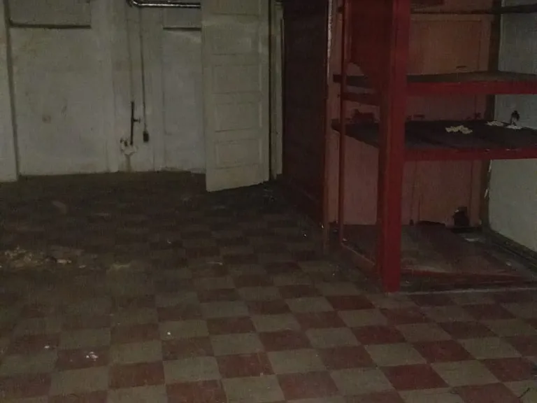 519 Sanford Pl — Photo 7