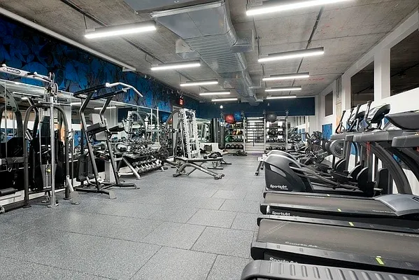 Rented by Bold New York | media 34