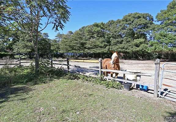 3rd image of 123 Grady St