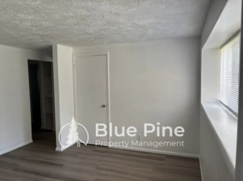 2 bed, 1.0 bath, 800 sqft, $925 — Photo 3
