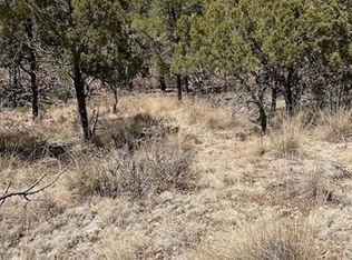 9 Bronco Dr, Timberon, NM 88350