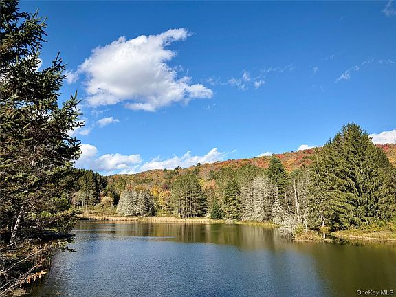 2nd image of 58 Emerald Lake Road