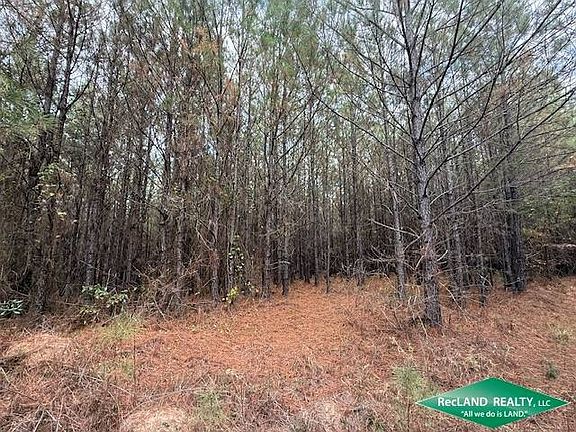 4th image of 0 Tram Rd