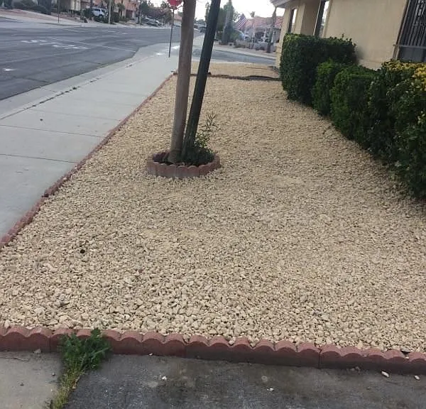 853 Ensenada Dr — Photo 3